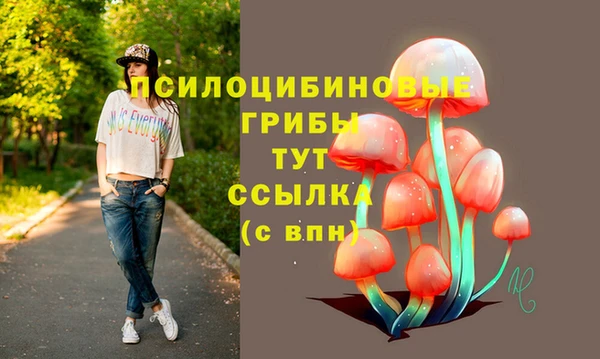 mdpv Алзамай