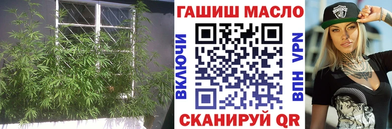 цена наркотик  Мирный  Дистиллят ТГК THC oil 