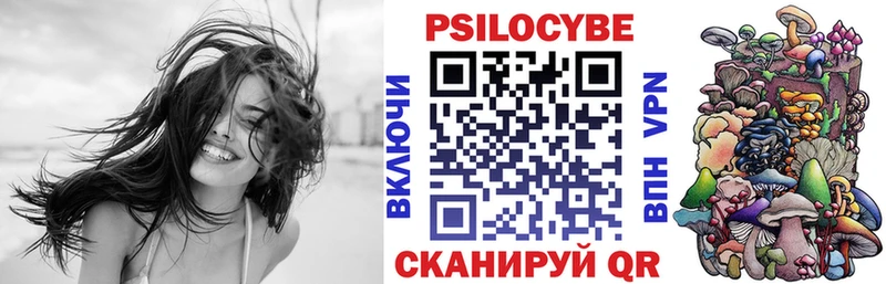 дарк нет как зайти  Мирный  Галлюциногенные грибы Psilocybine cubensis 